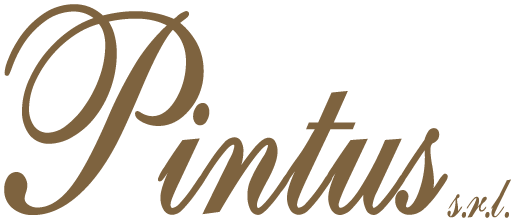 Pintus srl